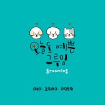 오늘도예쁜그루밍