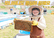 153양봉원