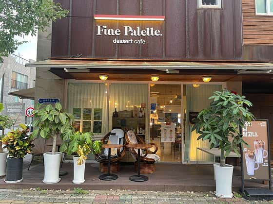 파인팔레트 사진