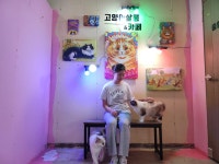 고양이살롱앤카페