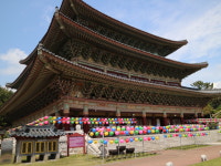 친절한송실장투어 힐링앤제주