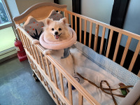 한우 한돈프라자