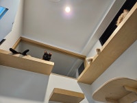 고양이미용호텔 미야옹