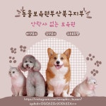 동물보육원 부산사상지부