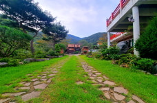 바람꽃 펜션