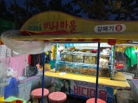 갈매기 8호