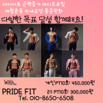 프라이드 핏