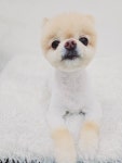 쁘띠멍