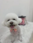 사르르몽몽