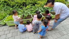 구립롯데금빛어린이집