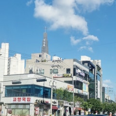 동구겨자씨교회