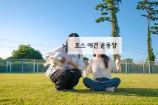 조스애견운동장