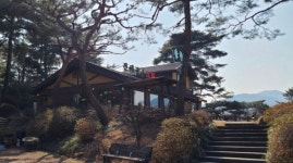 솔향기