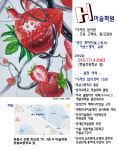 H미술학원