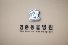 안양김준동물병원
