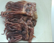 대신해건어물