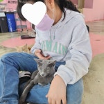 고양이살롱앤카페