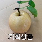 누렁이과수원