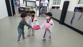 경희석사태권도