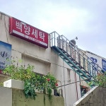 백양세탁