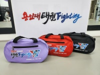 용인대태권Fighting