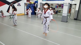 경희석사태권도