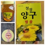 가나관광농원