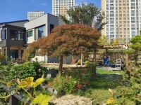 덕수조경