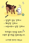 꾸앤쏭