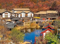 니지모리스튜디오