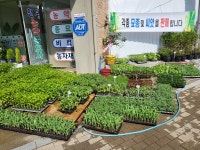 천우농약종묘사