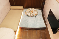 벨라몽 애견호텔