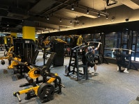 타이거휘트니스