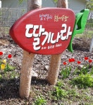 팔당유기농딸기나라 체험농장