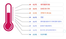 바이오포톤 테라피 대구점