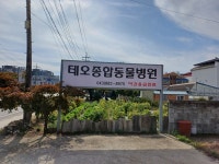 테오동물병원