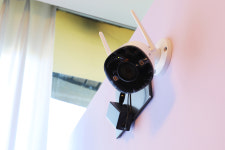 벨라몽 애견호텔