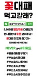 쿨쿨이와동부레기