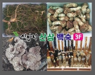 심마니산삼백숙 약초카페