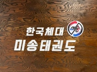 한국체대 미송태권도장