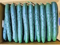 수광농장
