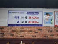 영산강풍천민물장어