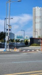 지노시스