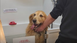 씻고가개 운정점