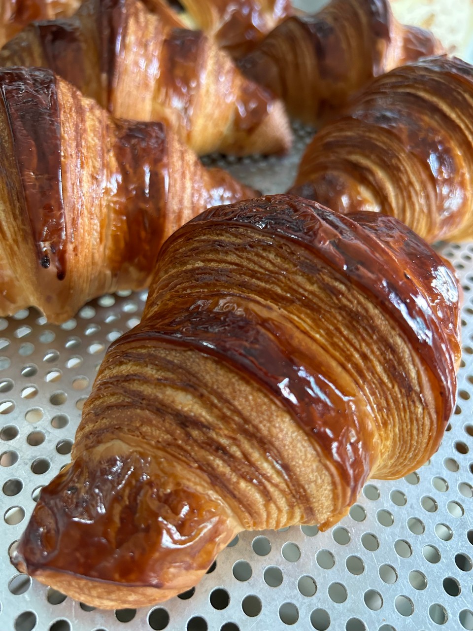 뺑드에코 이미지 3