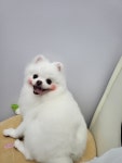 퉁이네