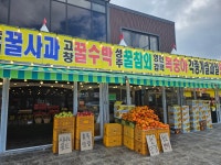 시온청과