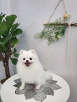 퉁이네