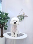 퉁이네