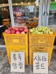 시온청과